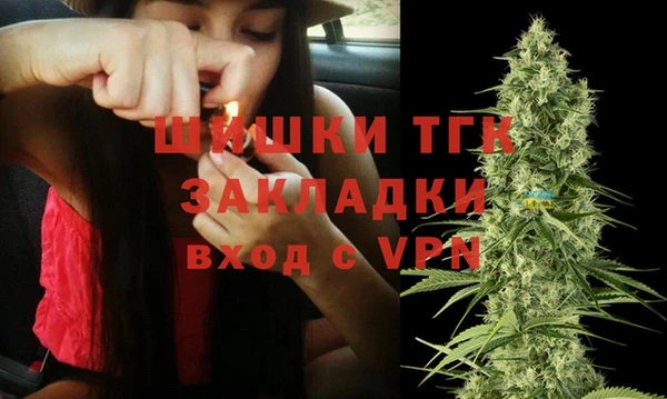 гидра Костерёво