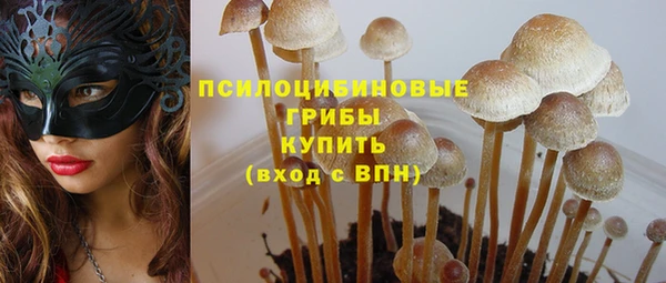 сатива Кулебаки
